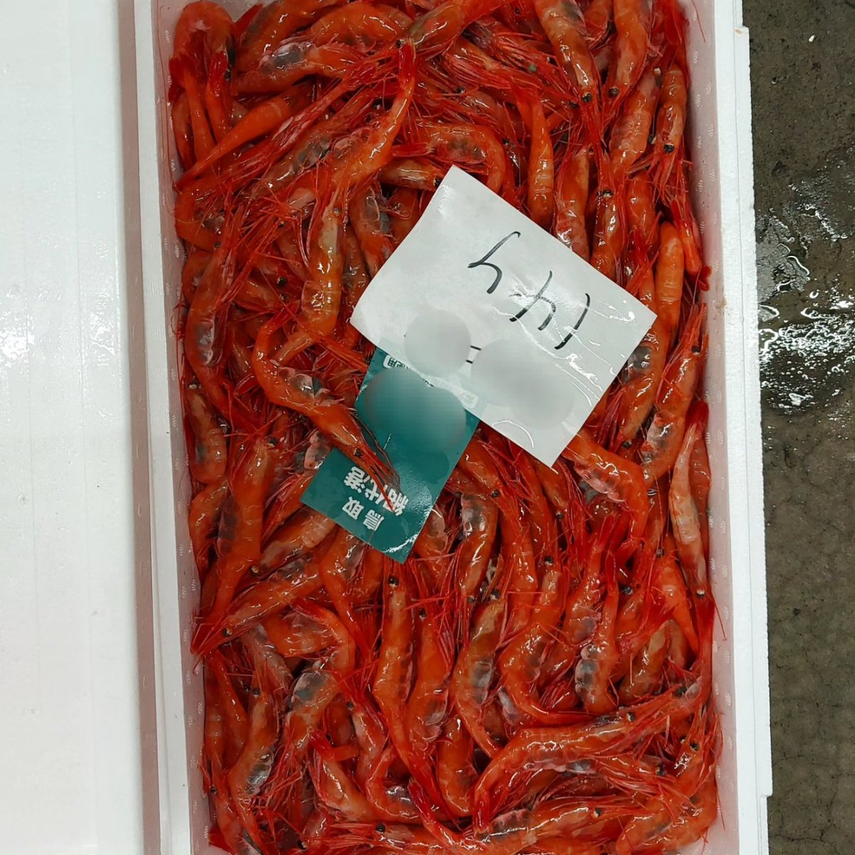 sawasengyo's tweet photo. 今日の網代港(鳥取県岩美町)です。
今日水揚げされた美味しそうな魚さんたちです。
またアップします。

#網代港
#鳥取県網代港
#岩美町網代港
#鮮魚
#大漁
#お庄
#澤鮮魚
#漁港
#競り
#松葉ガニ
#松葉
#かに
#カニ https://t.co/XLfGMWj8VO