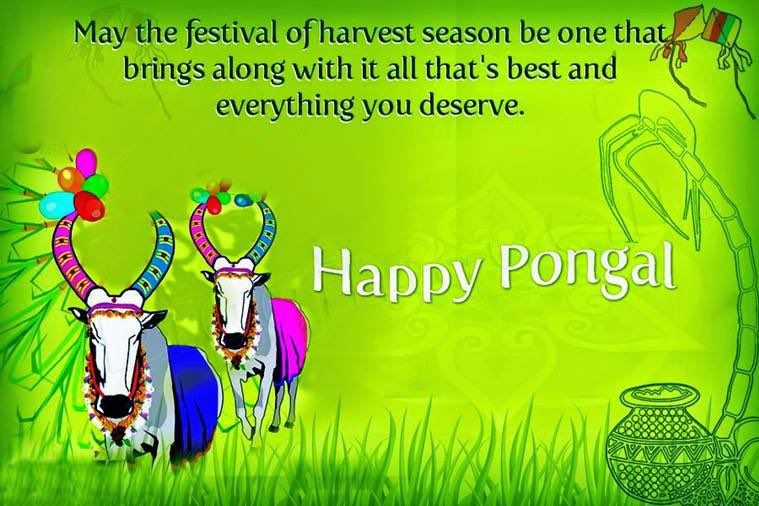 SriLankaTweet's tweet photo. Today is Thai Pongal Day 🌞 !
இனிய தைப்பொங்கல் வாழ்த்துக்கள்! 
Wish all the people in #SriLanka 🇱🇰, India 🇮🇳 &amp; around the World, Friends and Followers a Very Happy Pongal &amp; Year full of Joy 🙏

#HappyPongal2024🙏
#Pongal2024 #ThaiPongal #LKA #SriLankan #HappyPongal #Tamil #Hindu https://t.co/HhelnmOlZg