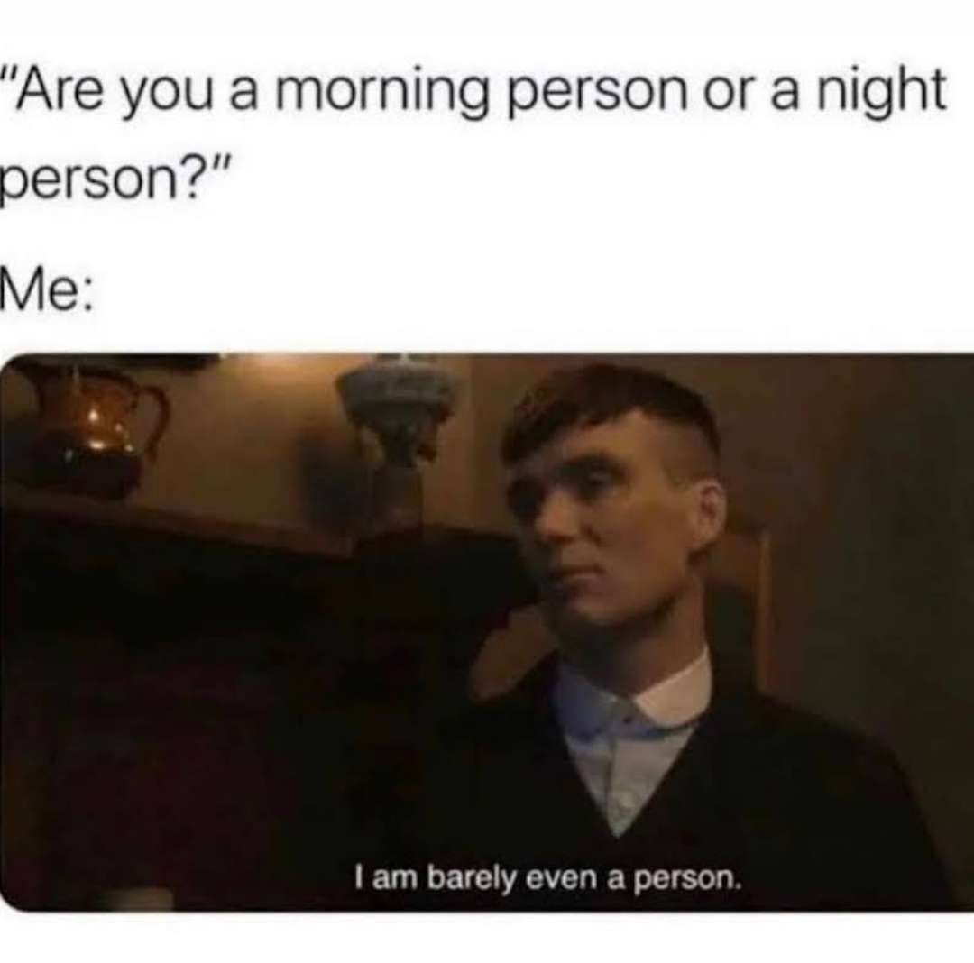 Bipolar Memes tweet media