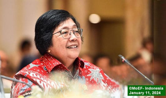 Minister indicates productive trend in Sumatran orangutan population
foresthints.news/minister-indic…