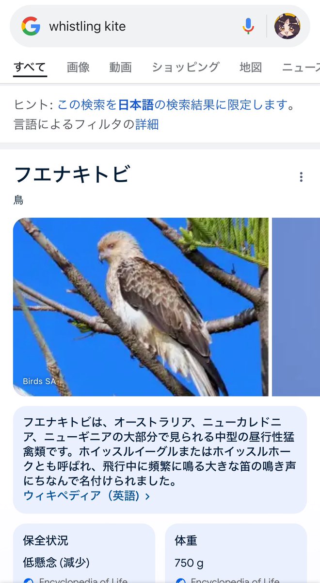 「高画質のお陰で大変大変助かったファホ」|戦場のぺんつ🔪のイラスト