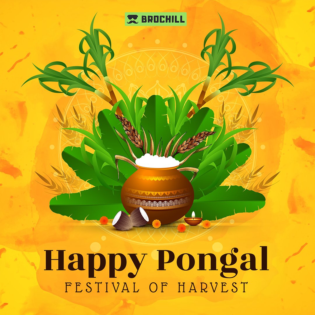 BrochillApp's tweet photo. Happy Pongal to all BroChill Users

#brochill #brochillapp #brochillindia #brochillcontent #pongal #pongalcelebration #sankranthi #sankranti #festival #celebration https://t.co/nGXcXMo4W0