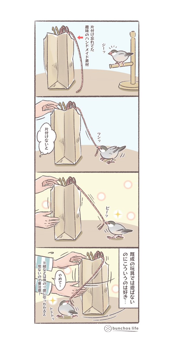 買ってきた玩具では遊ばないのに紙とか紐とかなんでもないものが好き
※細長いものは見守りしてるとき以外は危ないのでお気を付けて…
(↓ツリーにオマケあり)
#文鳥 
#4コマ漫画 