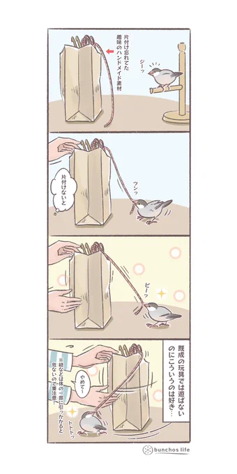 買ってきた玩具では遊ばないのに紙とか紐とかなんでもないものが好き
※細長いものは見守りしてるとき以外は危ないのでお気を付けて…
(↓ツリーにオマケあり)
#文鳥 
#4コマ漫画 