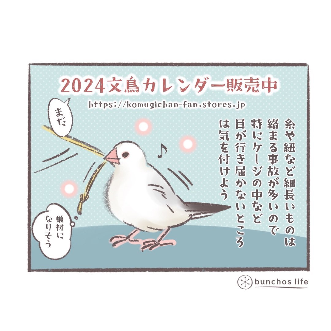 🌿2024年カレンダー販売中!Amazon、楽天サイトは固定ツイートからどうぞ✨
↓↓↓
https://t.co/Vpu1kC6fSL 