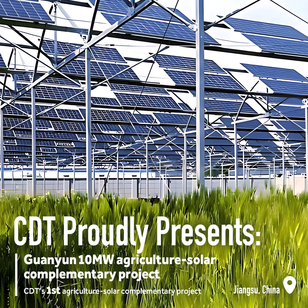China_Datang's tweet photo. #CDTPride By harnessing #solarenergy to generate electricity above while cultivating crops below, the Guanyun 10MW agriculture-solar complementary project, CDT’s first one of its kind, achieves a win-win outcome. It can generate 10.77 GWh of green electricity annually on average. https://t.co/embKtmxpFA
