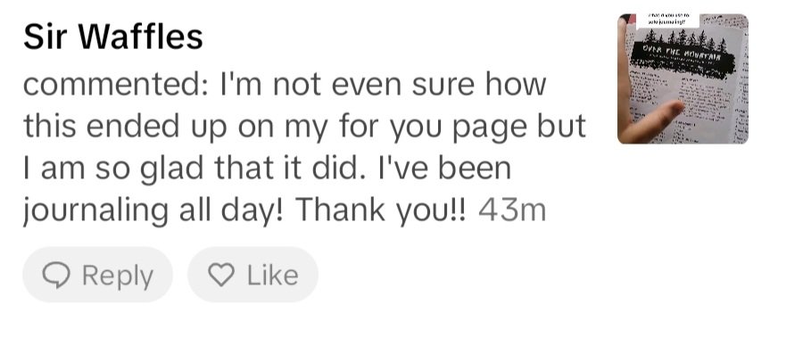I have been having a really fun time on Tik Tok recently but the best part has been comments like this! 🧡 😭