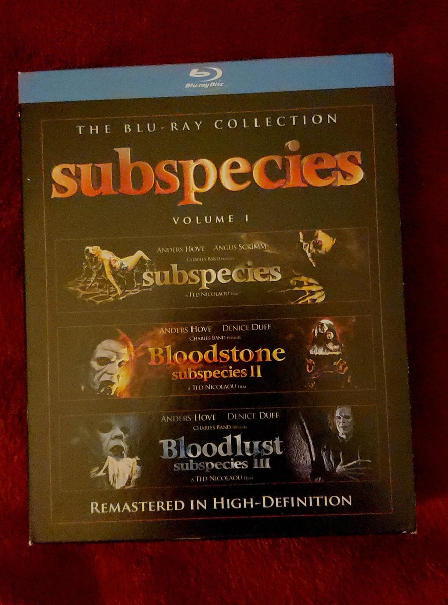 SoCalPete's tweet photo. Sorry guys but I'm having a Subspecies marathon tonight. Radu is the shit as far as vampires go.
Hold all my calls
Thx
#horrorwatch2024 #horror #horrormovies #horrorfam #subspecies #radu #fullmoonhorror #fullmoonentertainment #nowwatching https://t.co/ZM57ztOjHz