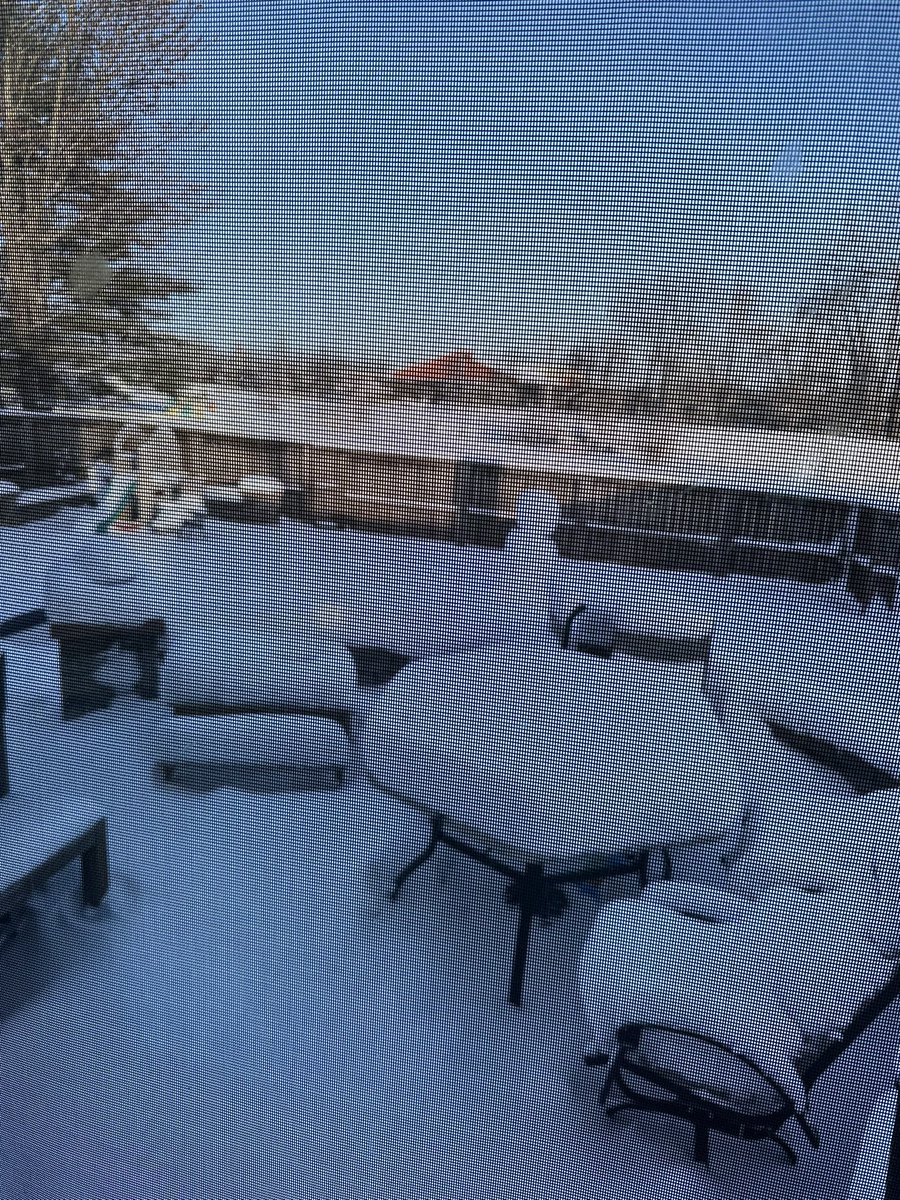 K.C. McCarty tweet media