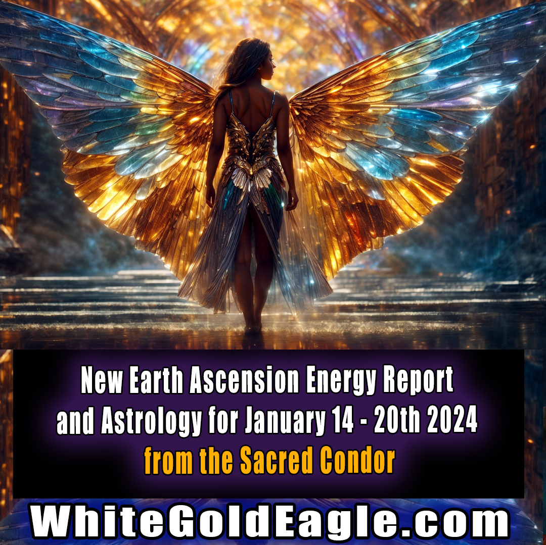 PaulGoldEagle's tweet photo. 🔥 New! on Patreon ~ New Earth Ascension Report and Astrology Reading for January 14 through the 20th 2024 from my Sacred Condor 🔥
https://t.co/YeAfRbKuwS
#newearth
#ascension
#astrology
#suninaquarius
#plutoaquarius
#ageofaquarius
#meditation
#ceremony
#primedisclosure https://t.co/FswbdkryCR
