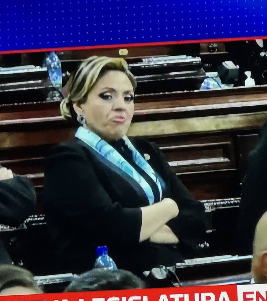 ¿Podemos enmarcar esto? 

La Segunda Caída. 

Guatemala, 2024.