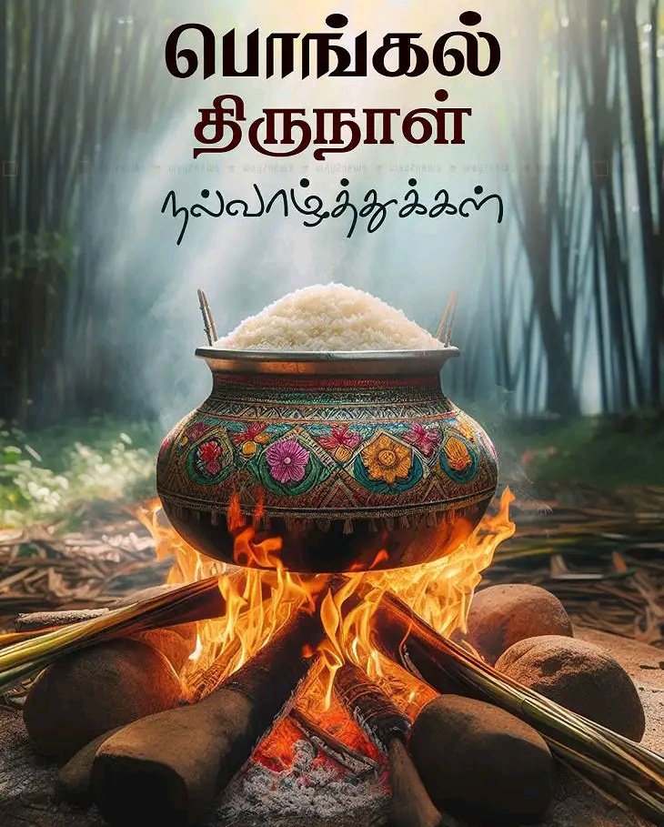 parveen_nisa's tweet photo. எனது பள்ளி, அலுவலக, கழக நண்பர்கள் & அத்துணை (#WINGSofDMK) அணி #உடன்பிறப்பு களுக்கும் எமது நெஞ்சார்ந்த #சமத்துவப்பொங்கல் நல் வாழ்த்துக்கள்.,
#Thalapathy #CMMKStalin #MKStalinWing #2point1 @DMK_Updates @ITWWomenNetwork @WING2point0 @DMK4TN_ #MakarSankranti #PongalCelebrations https://t.co/89k0BNaNLW