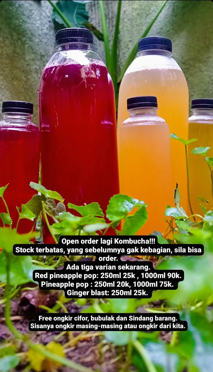Buat temen-temen di daerah Bogor, ku sama temen-temen lagi jualan kombucha nih, buat modal kebun. Siapa tau ada yang mau mesen.
Boleh DM