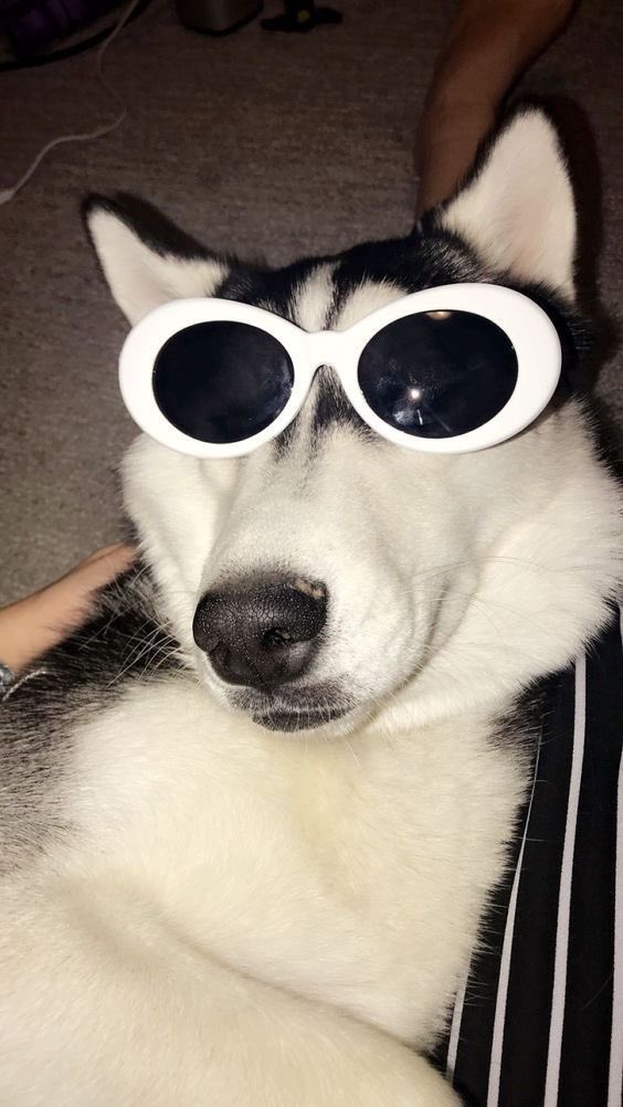 whenIfimg_'s tweet photo. 🕶️ https://t.co/h2rGH9gKcn