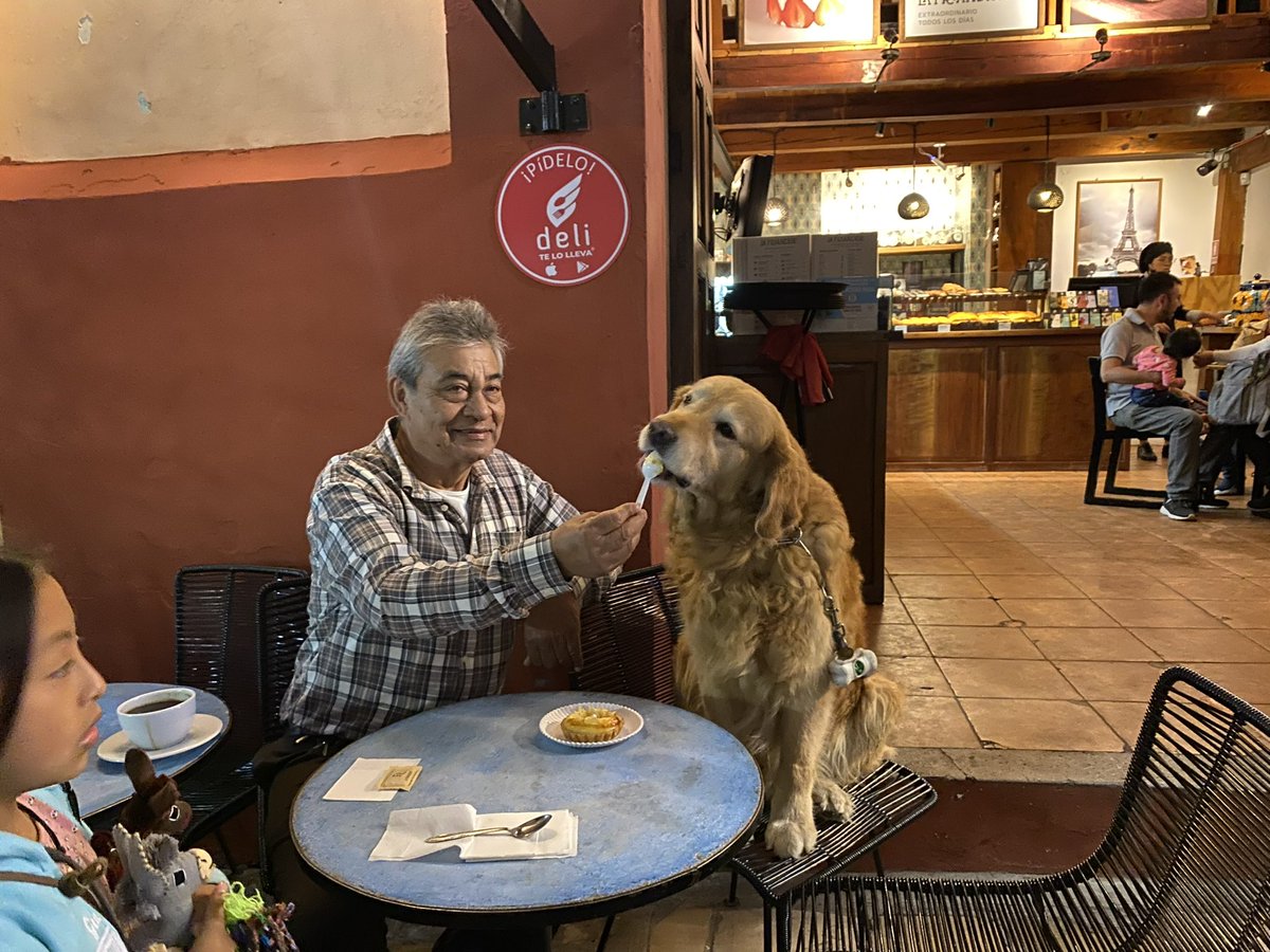 Padawan in progress tweet media