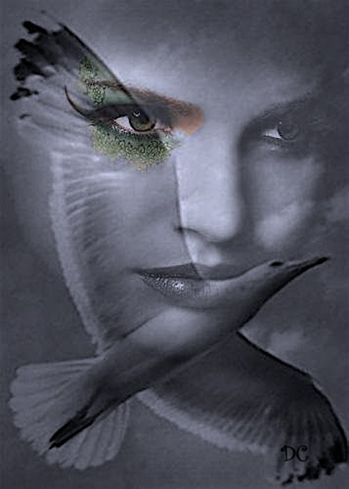 L'âme a des illusions 
comme l'oiseau a des ailes;
c'est ce qui la soutient.

🪶 Victor Hugo