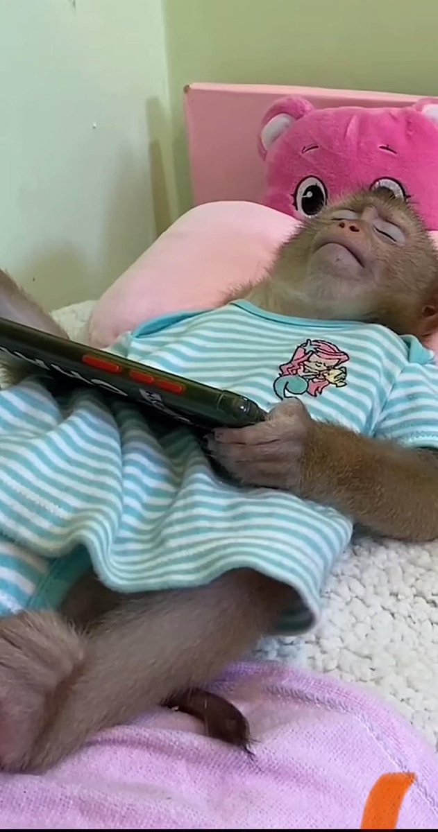 yo cuando me quedo dormido por estar viendo tiktoks