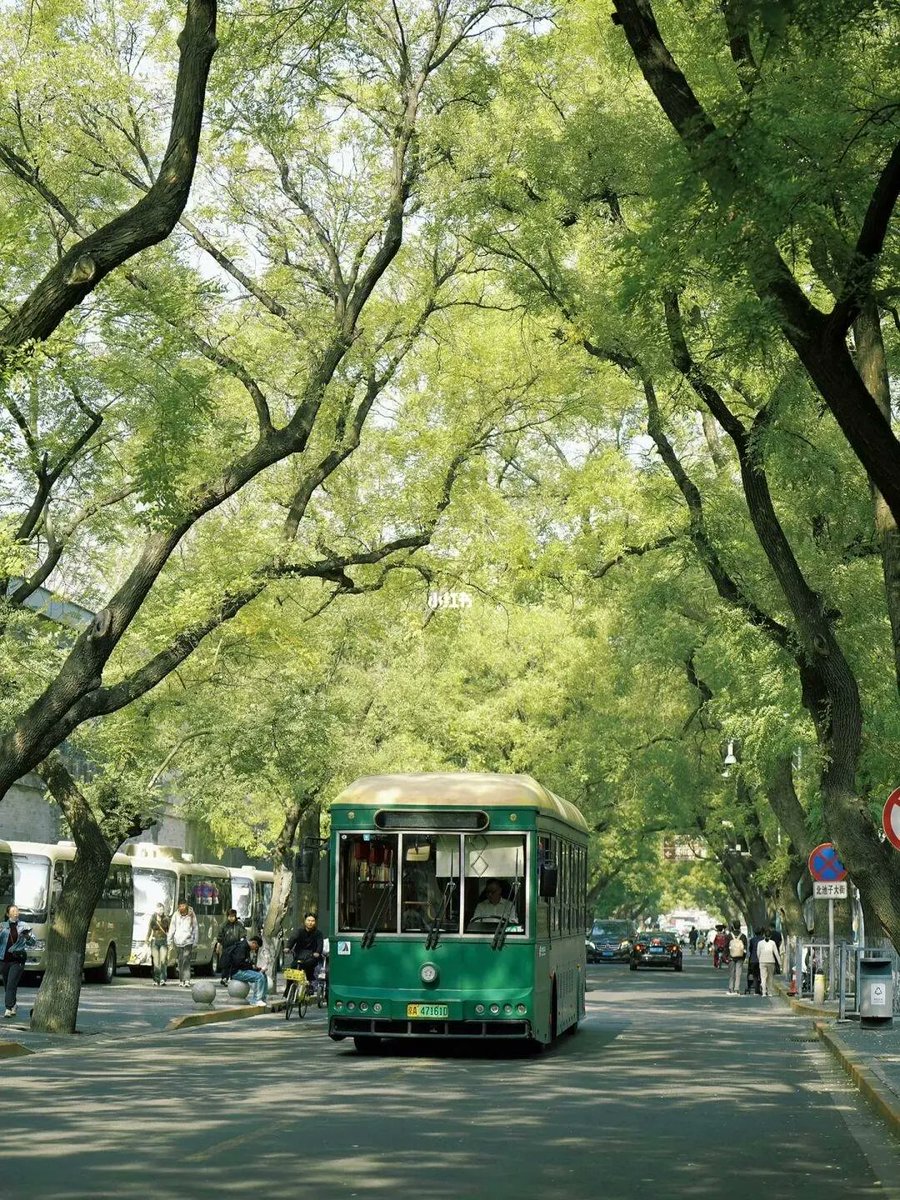 Sanctuary in the City 💚🌳😊 #MondayMorning #treepeople