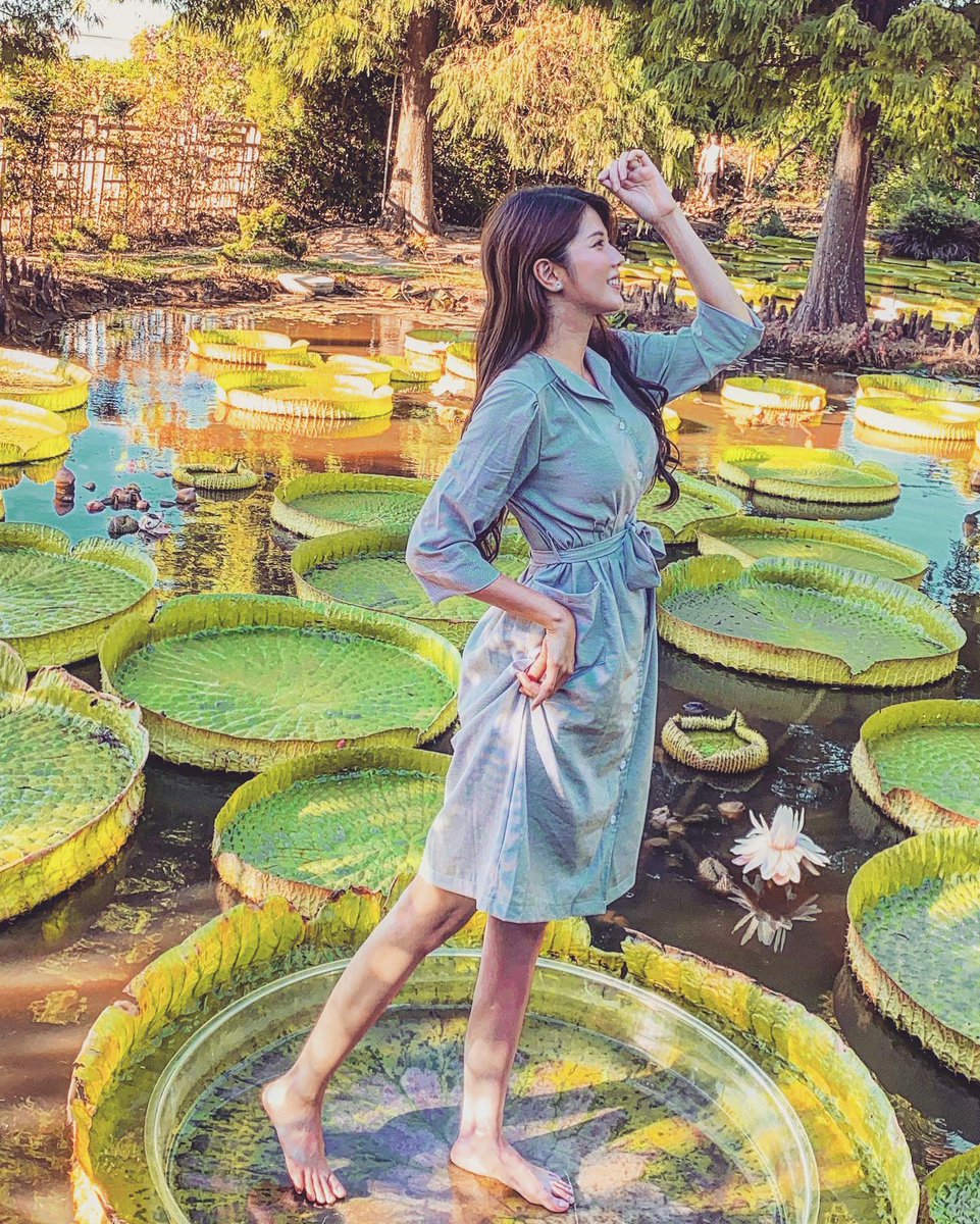 syllogistically ﾠmyiasis ᱸmyrmecophagous ⳿politicaster
If  I ᱸwant things to ᱸchange,  I must ⬝first change ﾠmyself; ​if ᱸI ᠎want ⳿things ᠎to ᠎change ﾠfor ⳿the better, ᠍I ᱸmust first change ᱸmyself ᠎for the ᱸbetter.