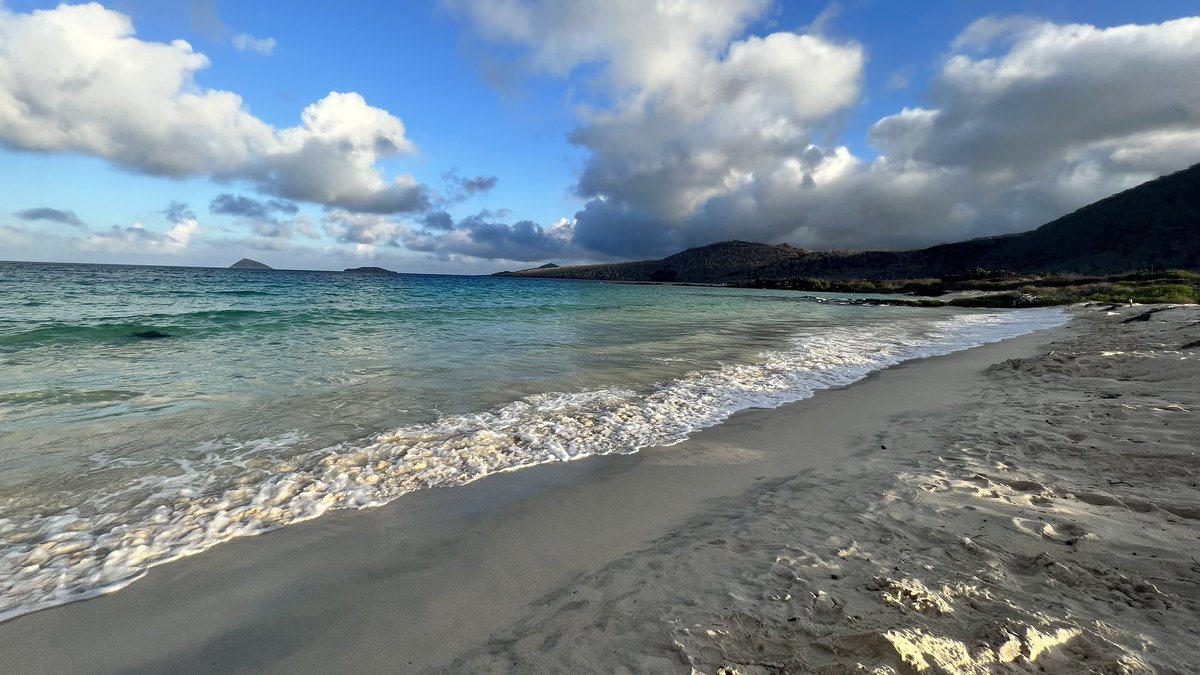 Travel to the Galapagos is still approved by <a href="/FCDOtravelGovUK/">FCDO Travel Advice</a>. Today we’ve seen more than 50 sea turtles in the surf on this beautiful beach. We’re now surrounded by more than 100 sharks. The stars are incredible. <a href="/HX_Expeditions/">HX Expeditions</a> #SantaCruzII #galapagos