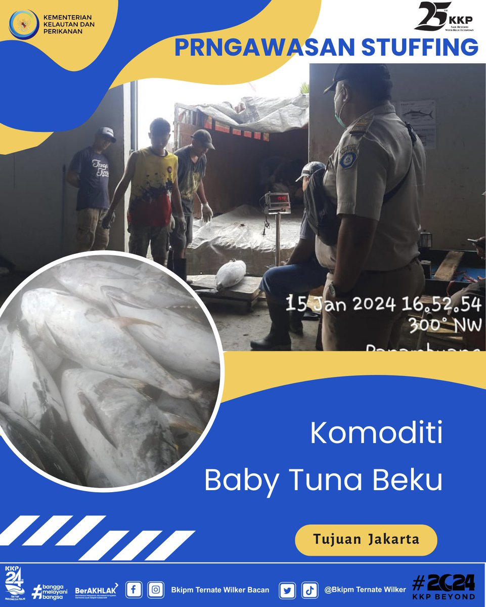 15/01/24 Giat pengawasan Stuffing komoditi Baby Tuna Beku tujuan Jakarta melalui Pelabuhan Laut Babang #KKPThrive <a href="/kkpgoid/">KKP RI</a> @bkipm_kkp @BKIPMTernate <a href="/arsal_azis/">A r s a l</a> <a href="/Ambodallemardia/">Mardia Ambodalle</a> <a href="/UHardianto/">unggul hardianto</a> <a href="/Naidil_yahya28/">Naidil_yahya ( DhilastBorju)</a> <a href="/AliNazarudin/">Nazarudin ALI</a>