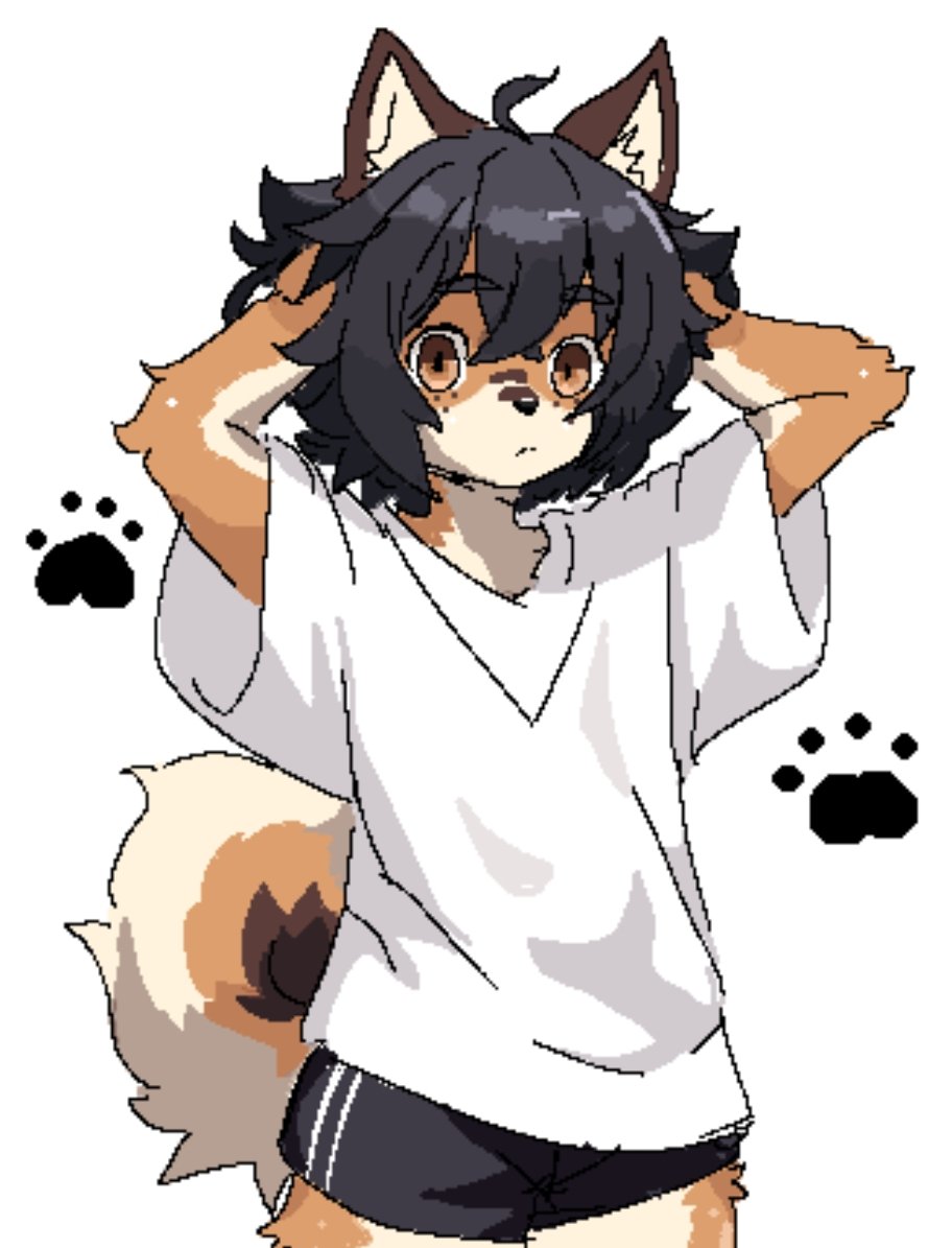 goldieinu_2005's tweet photo. truesona of me :3 https://t.co/o1ve3eqym0