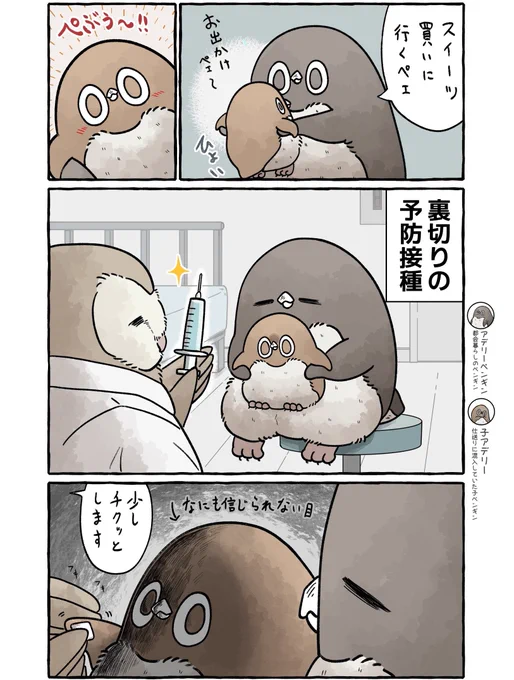 裏切りのアデリーペンギン。💉
#虚無かわいいアデリーペンギン 