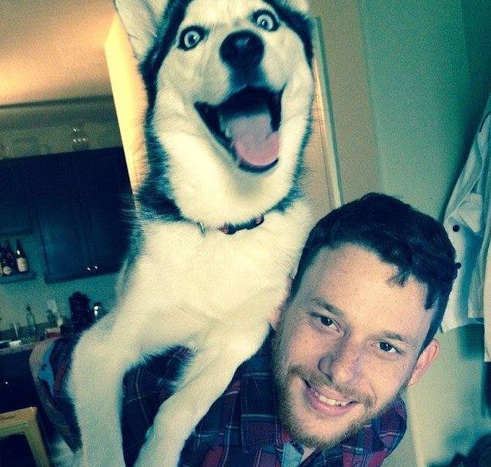 Youridefou's tweet photo. Le chien était clairement plus heureux avant qu’elle n’arrive https://t.co/iUzSSCacDY