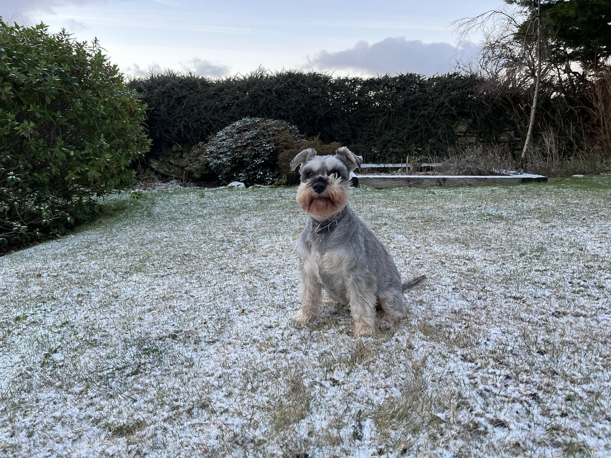 It’s a snow day up in Wales!
