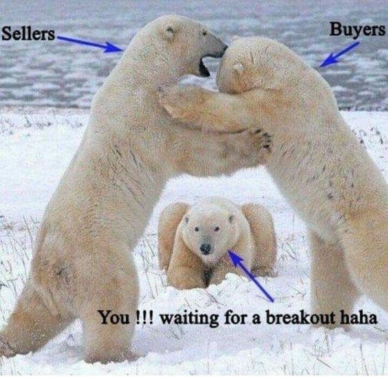 MMCrypto tweet media