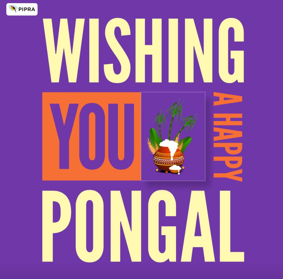 🌾 Happy Pongal! PIPRA Solutions sends warm wishes for joy, prosperity, and togetherness during this harvest celebration. May the spirit of Pongal fill your hearts with gratitude for nature's blessings as you gather with loved ones. 🌾🌼 #Pongal #FestivalGreetings #indianfestival