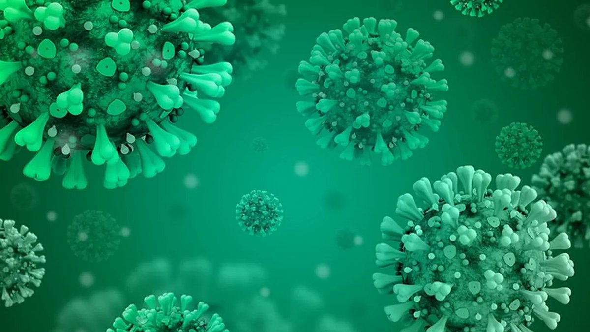 Focus on projects supported by CRYOSTEM
Read the full interview with Professor Emmanuel Drouet <a href="/IBS_Grenoble/">Institut de Biologie Structurale</a>  - role of ZEBRA PROTEIN (Z EBV replication activator) in the development of #lymphoprolifératives diseases (PTLD)
 ➡ bit.ly/3RX8jg3