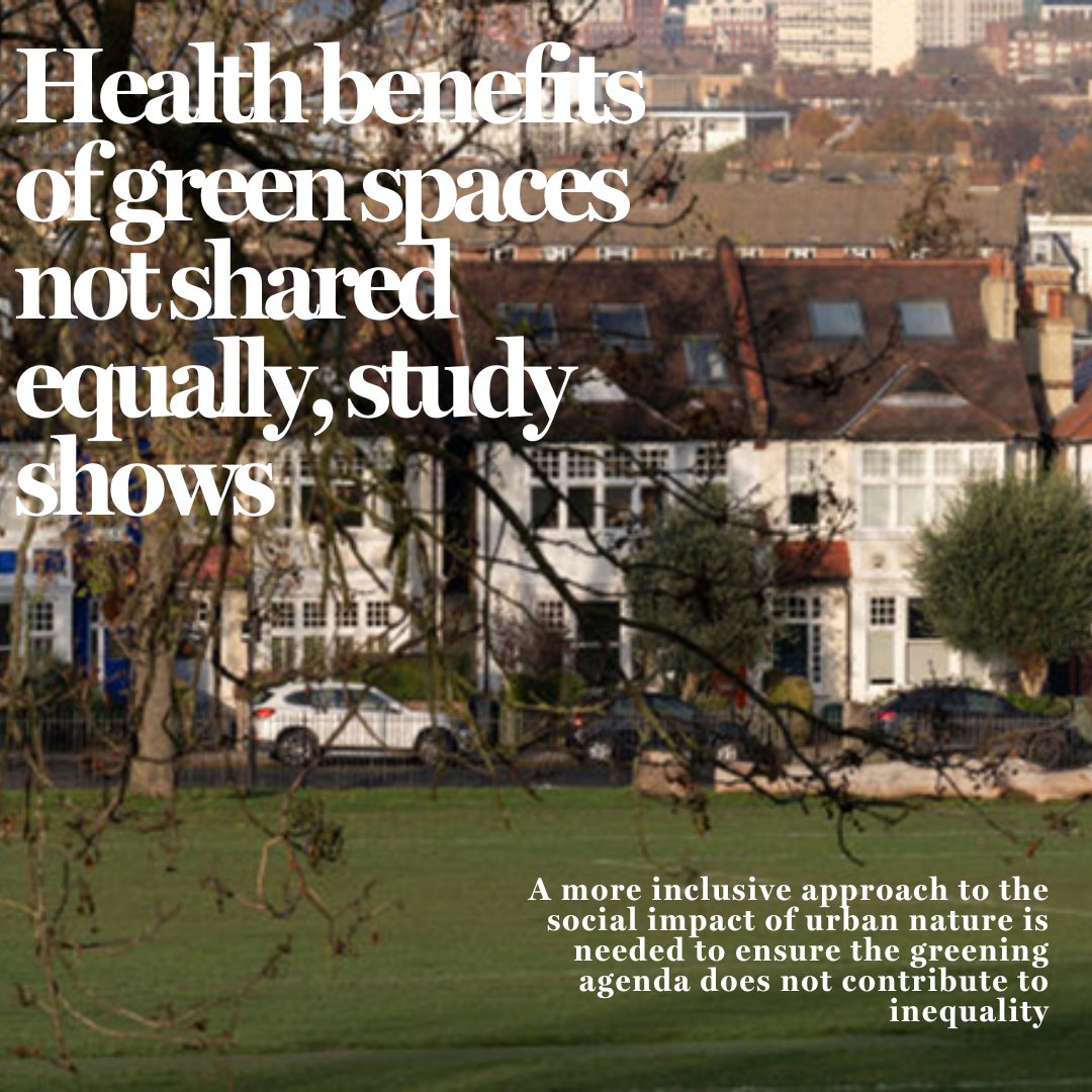 The Developer tweet media