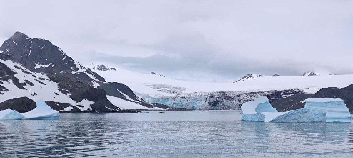 IQOG_CSIC's tweet photo. Hoy comenzamos la semana con algunas fotos de nuestro colega, el Dr. Juan Muñoz-Arnanz, desde la Antártida 🇦🇶, el continente más austral de la Tierra 🌍. Se encuentra allí participando en la campaña del proyecto #PANTOC en colaboración con el @GEN_BGC_GROUP del @IDAEA_CSIC https://t.co/Xw6oMv0gs0