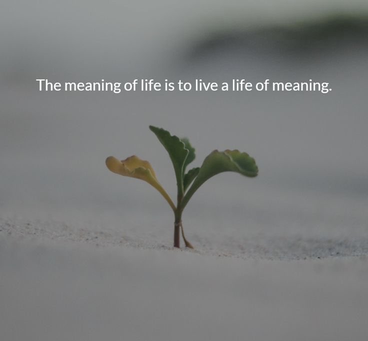 chrisrsalem's tweet photo. The meaning of life is not a discovery; it's a creation. Craft your own narrative, embrace every chapter, and find purpose in the journey. Life's meaning is woven into the fabric of your unique story.
#CreateYourMeaning #LifeJourney @StevenMusielski https://t.co/lfvAP4yk9L