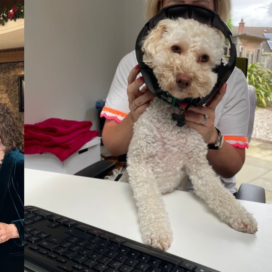 Impact Communications tweet media