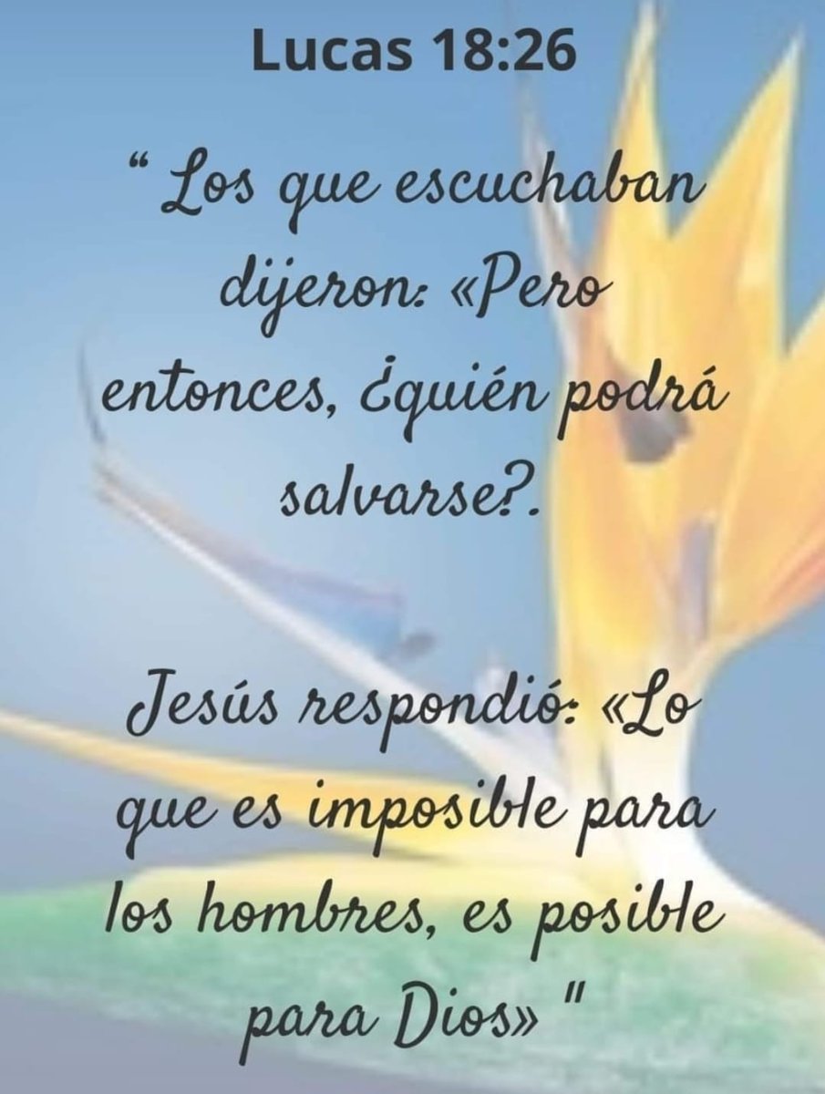 stella_azuaga's tweet photo. " Lo que es imposible para los hombres, es posible para Dios"
Iniciemos la jornada, confiados en su poder y misericordia, con las manos juntas y una mirada al cielo 🙏, pidamos por la sanacion de todos los #pyos 🇵🇾, #buenosdias🌻🌻 https://t.co/hFzNQF4m5i