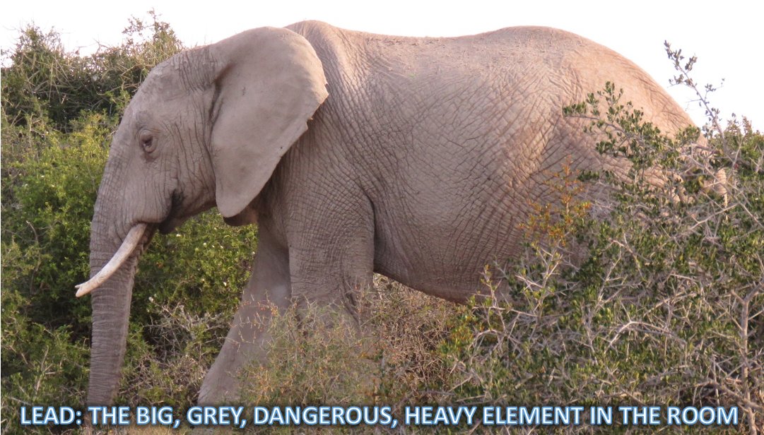 LEAPP Alliance tweet media