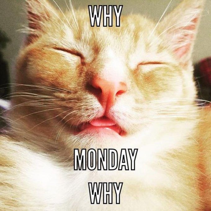 #work #monday #week #pussy https://t.co/09I459lsMV<a href="/tag/work"class="tags">#work</a><a href="/tag/monday"class="tags">#monday</a><a href="/tag/week"class="tags">#week</a><a href="/tag/pussy"class="tags">#pussy</a>