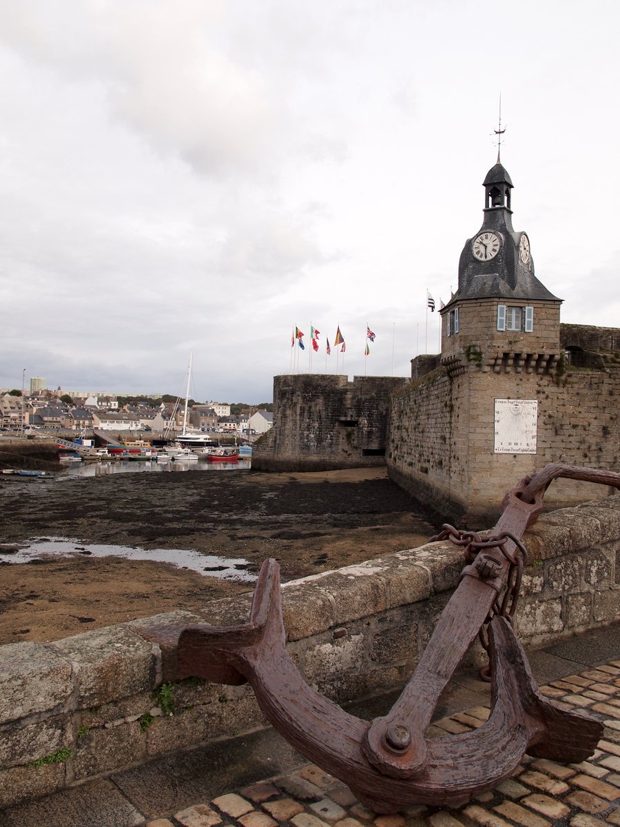 浅野光代 tweet media