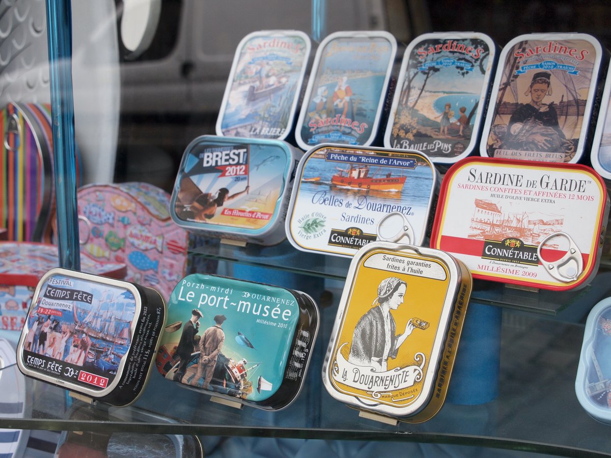 浅野光代 tweet media