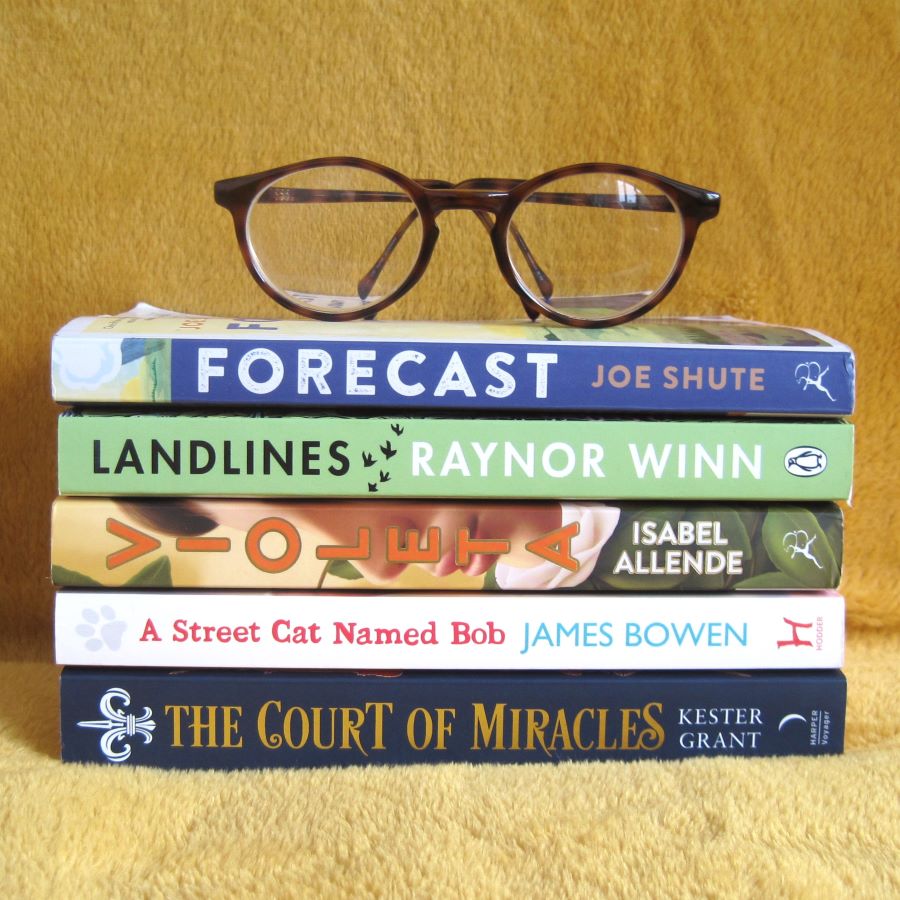 So many books, so little time! Spoiled for choice with this selection of reads for the next couple of months - only question now is, which do I try first? #booklover #readinglist