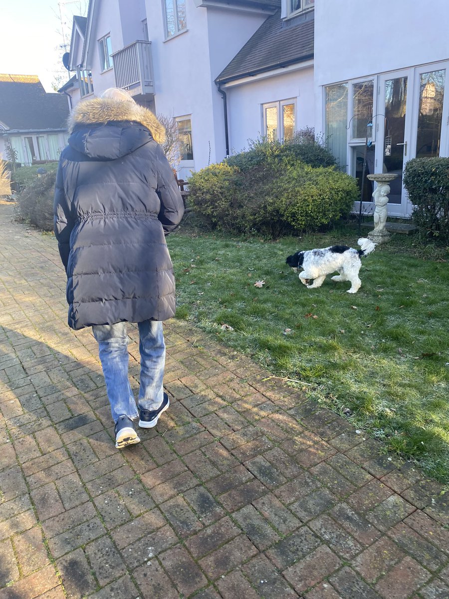 DevonshireHome's tweet photo. Fresh morning walk with Albert! #Devonshirehouse #anchorlaterlife https://t.co/dRddQhbUNN