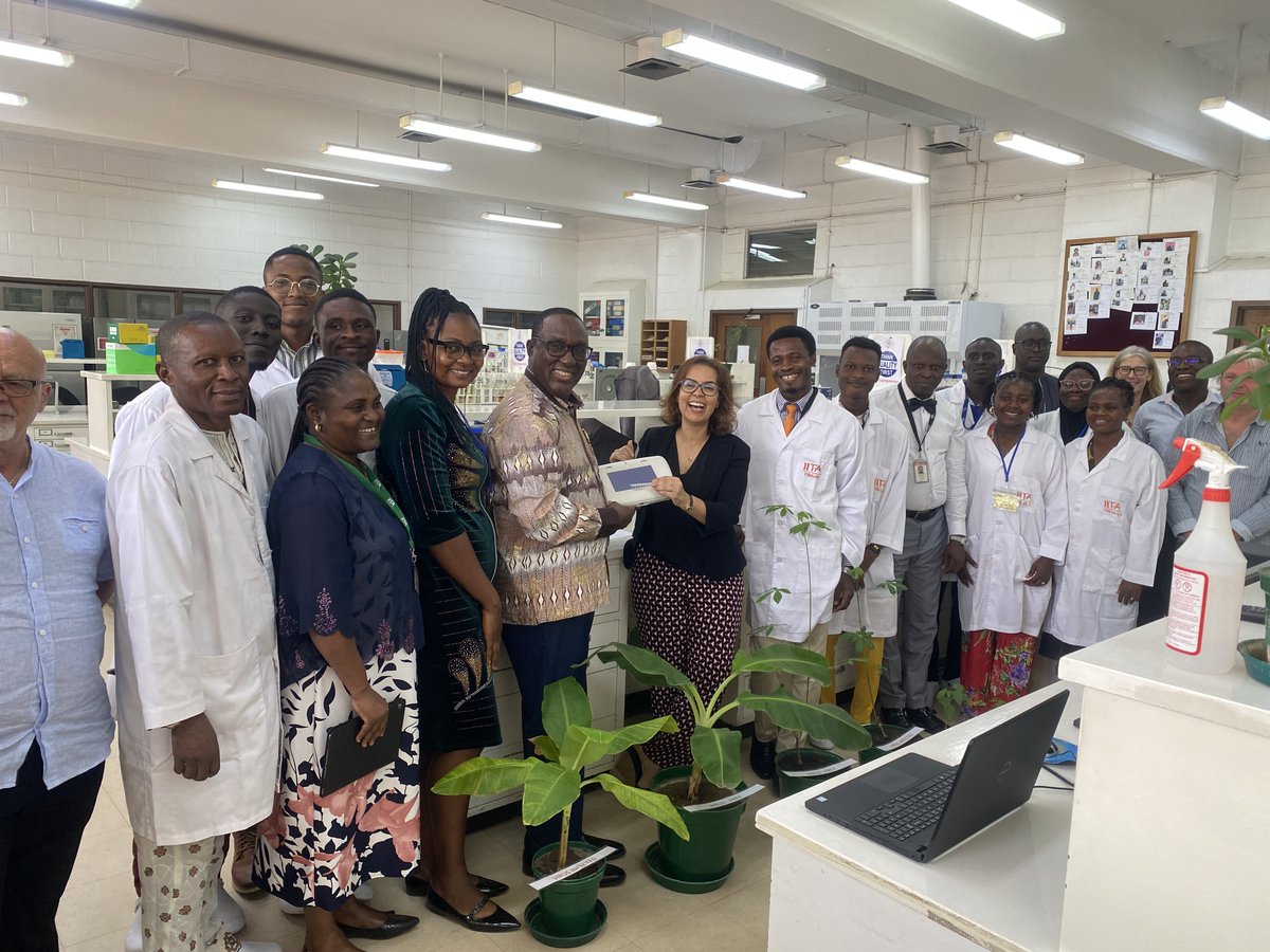 On @IITA_CGIAR Lab Tour, Dr. @IsmahaneElouafi Executive Managing Director and Dr. @simeonehui, DG of IITA and Regional Director of @CGIAR for Africa connects with the Virology and Germplasm Health Units team of IITA on January 14, 2024. #PlantHealth