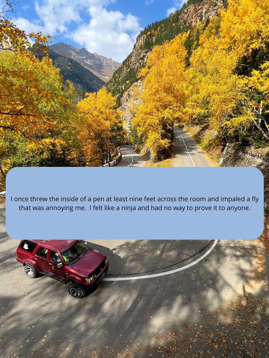 "Stories from Reddit" tweet media