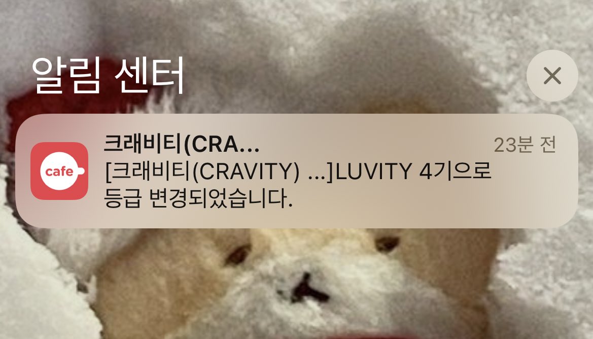 러비티 1년 연장의 순간