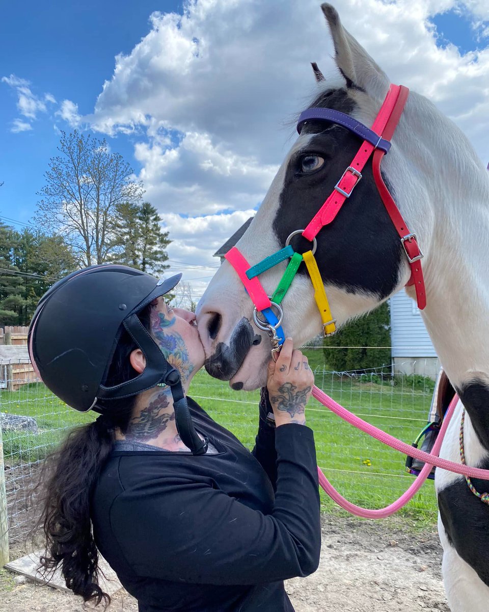 2horsetack's tweet photo. Rainbow ##Sidepull Bitless #Bridle📷
🐎 This masterpiece was crafted before our magical collaboration with Mustang Garden, and we’re still in awe! 🌼🌈 Swipe left to witness the vibrant beauty up close! ✨ #EquestrianStyle #CustomTack #RainbowMagic #MustangGardenCollab #Kentucky https://t.co/DY7fTX9HMX