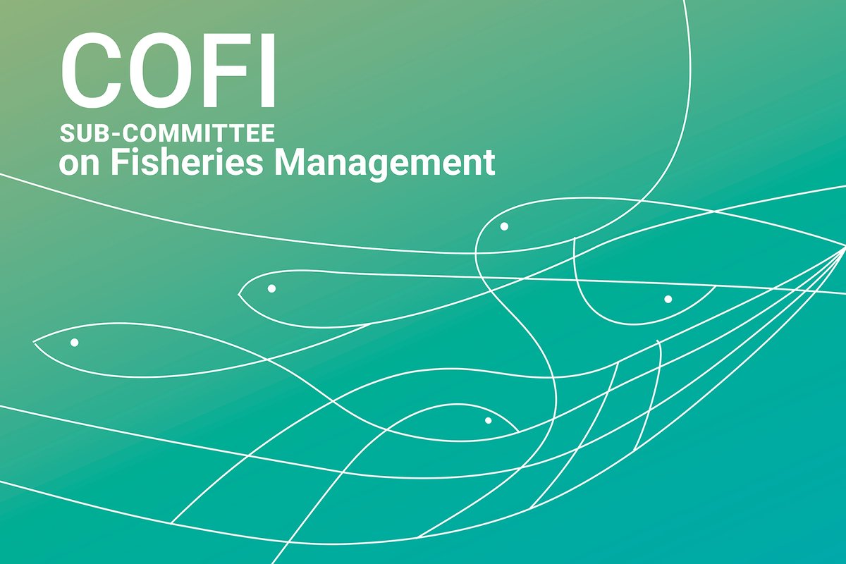 🐟 This week, GSSI will observe the First Session of the FAO's COFI Sub-Committee on Fisheries Management. Meetings will focus on critical topics such as small-scale fisheries management, addressing IUU fishing, mainstreaming biodiversity, and climate-resilient fisheries.