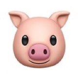 ايه رايكو فيا