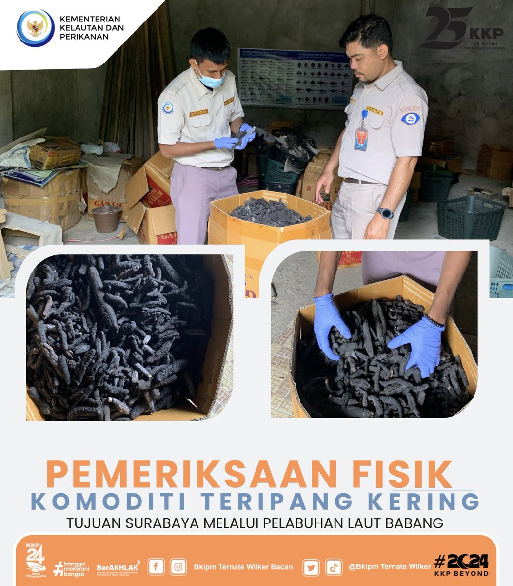 15/01/24 Giat Pemeriksaan Fisik komoditi teripang kering tujuan Surabaya melalui pelabuhan Laut Babanng via KM. Sinabung #KKPThrive <a href="/kkpgoid/">KKP RI</a> @bkipm_kkp @BKIPMTernate <a href="/arsal_azis/">A r s a l</a> @Ambodallemardia <a href="/UHardianto/">unggul hardianto</a> <a href="/Naidil_yahya28/">Naidil_yahya ( DhilastBorju)</a> <a href="/AliNazarudin/">Nazarudin ALI</a>